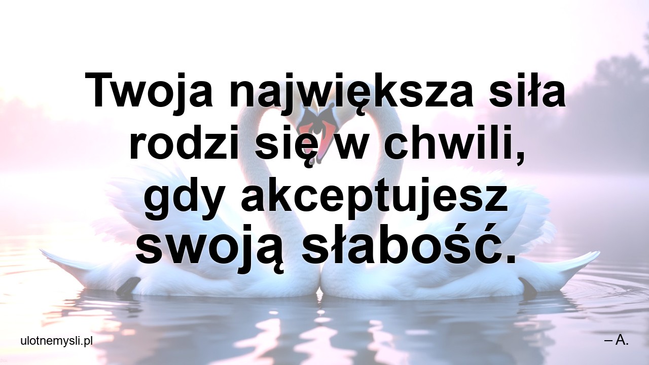 Twoja największa siła rodzi się w chwili,  gdy akceptujesz swoją słabość.