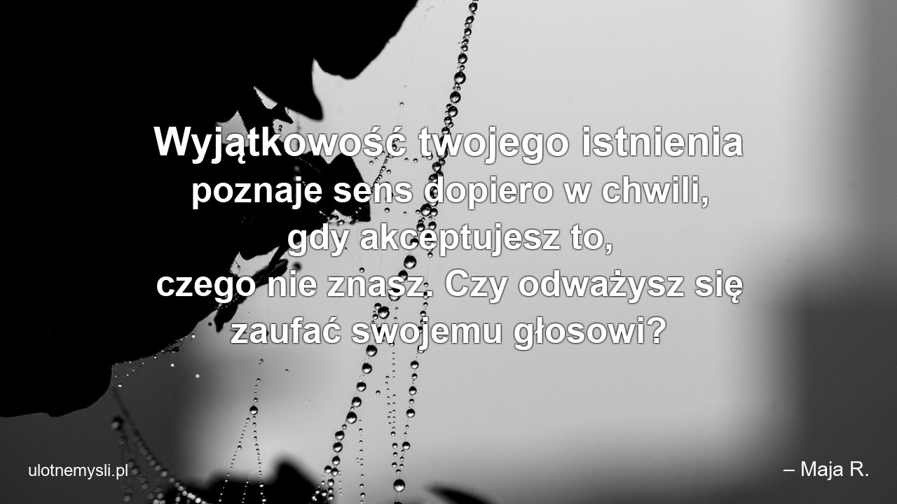 Wyjątkowość twojego istnienia poznaje sens dopiero w chwili,  gdy akceptujesz to,  czego nie znasz. Czy odważysz się zaufać swojemu głosowi?