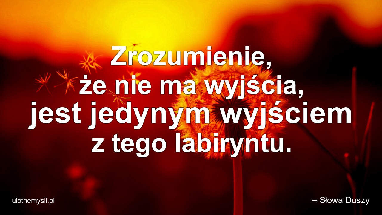 Zrozumienie,  że nie ma wyjścia,  jest jedynym wyjściem z tego labiryntu.