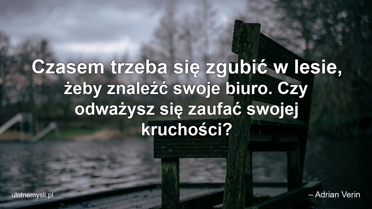Czasem trzeba się zgubić w lesie,  żeby znaleźć swoje biuro. Czy odważysz się zaufać swojej kruchości?