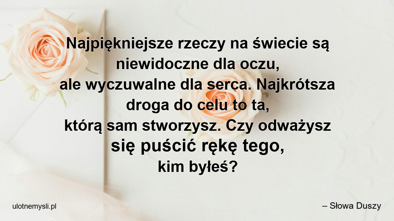 Najpiękniejsze rzeczy na świecie są niewidoczne dla oczu,  ale wyczuwalne dla serca. Najkrótsza droga do celu to ta,  którą sam stworzysz. Czy odważysz się puścić rękę tego,  kim byłeś?