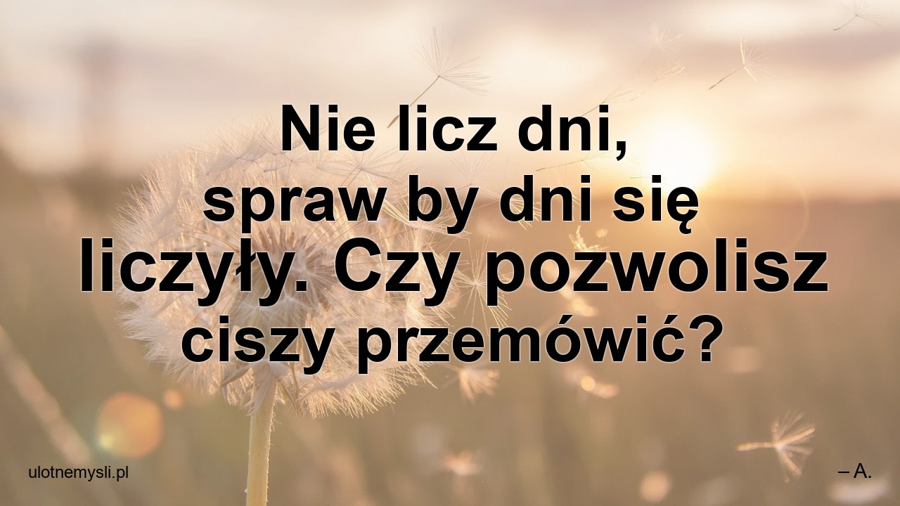 Nie licz dni,  spraw by dni się liczyły. Czy pozwolisz ciszy przemówić? - – A.