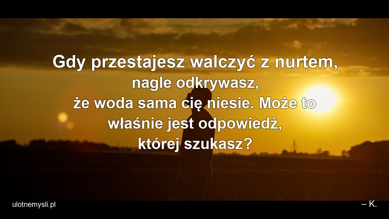 Gdy przestajesz walczyć z nurtem,  nagle odkrywasz,  że woda sama cię niesie. Może to właśnie jest odpowiedź,  której szukasz? - – K.