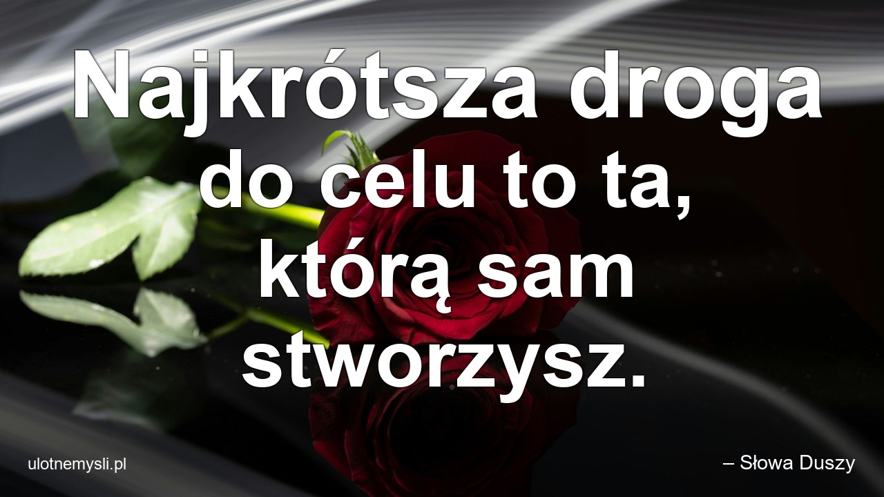 Najkrótsza droga do celu to ta,  którą sam stworzysz.