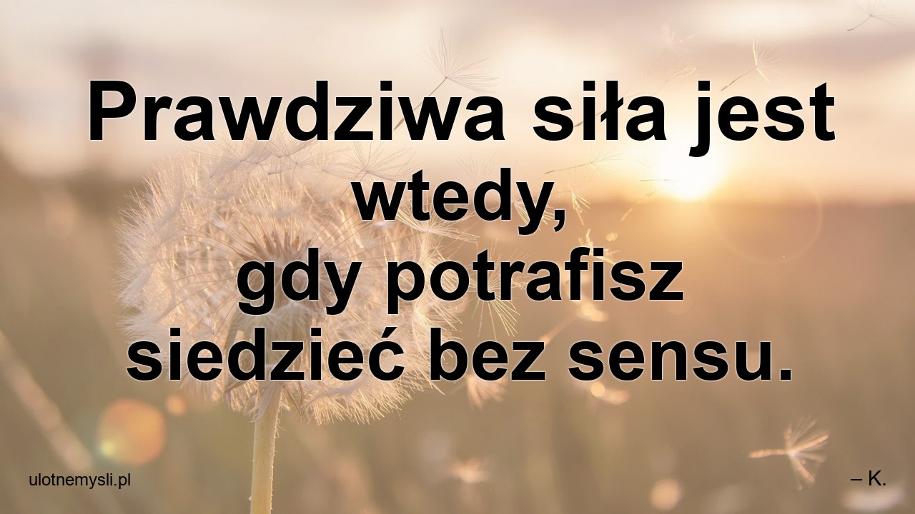 Prawdziwa siła jest wtedy,  gdy potrafisz siedzieć bez sensu.