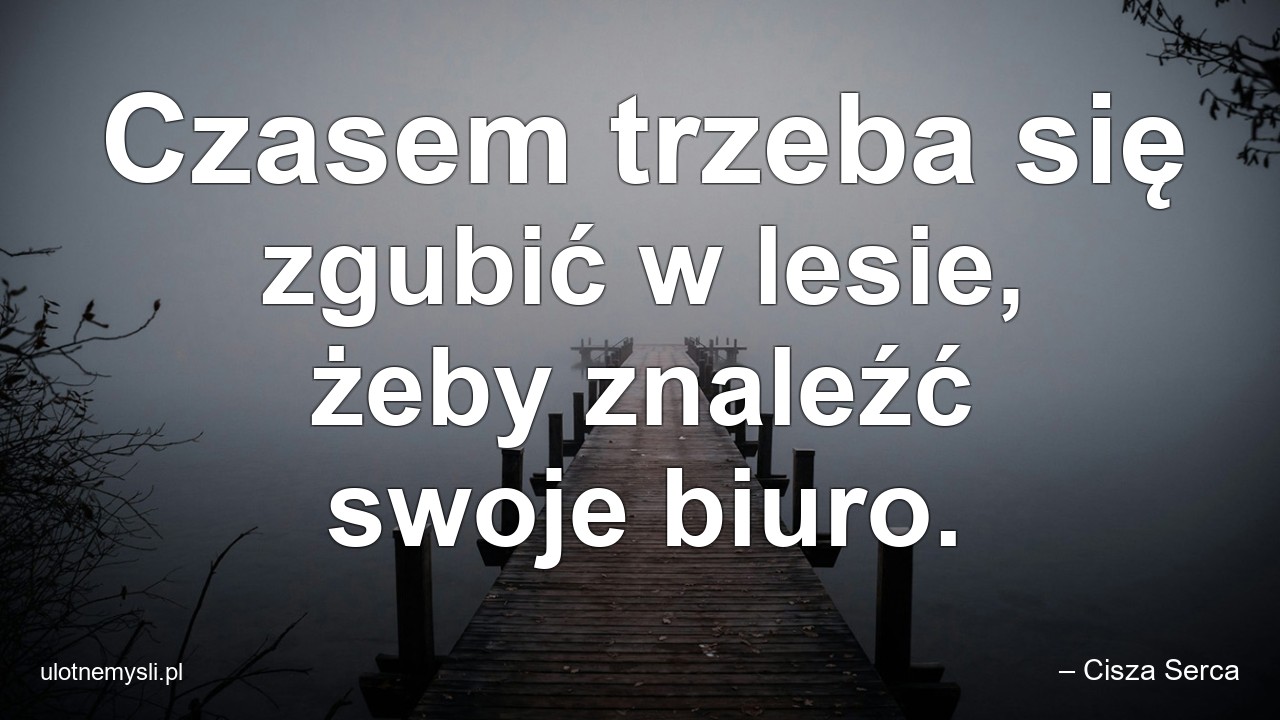 Czasem trzeba się zgubić w lesie,  żeby znaleźć swoje biuro.