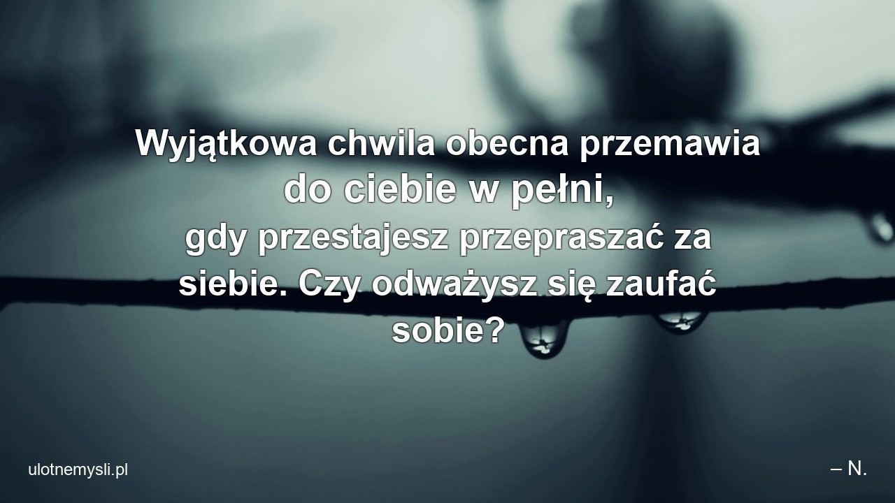 Wyjątkowa chwila obecna przemawia do ciebie w pełni,  gdy przestajesz przepraszać za siebie. Czy odważysz się zaufać sobie?