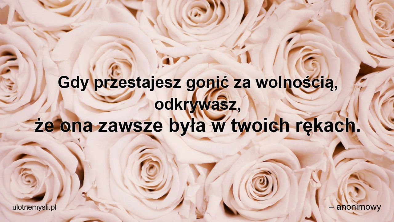 Gdy przestajesz gonić za wolnością,  odkrywasz,  że ona zawsze była w twoich rękach.