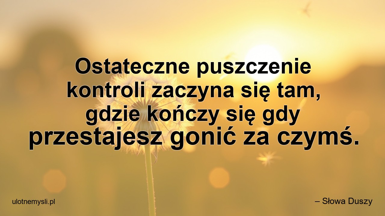 Ostateczne puszczenie kontroli zaczyna się tam,  gdzie kończy się gdy przestajesz gonić za czymś. - – Słowa Duszy