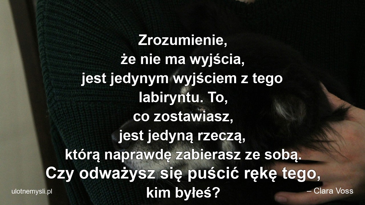 Zrozumienie,  że nie ma wyjścia,  jest jedynym wyjściem z tego labiryntu. To,  co zostawiasz,  jest jedyną rzeczą,  którą naprawdę zabierasz ze sobą. Czy odważysz się puścić rękę tego,  kim byłeś? - – Clara Voss