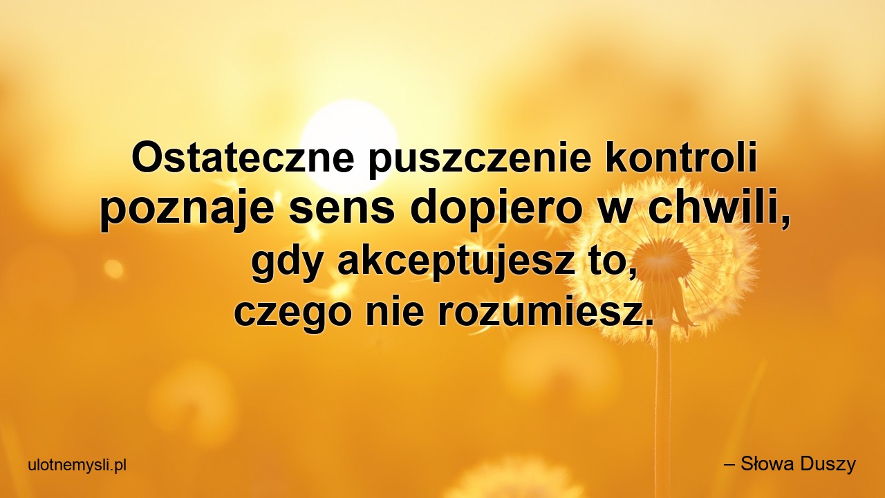 Ostateczne puszczenie kontroli poznaje sens dopiero w chwili,  gdy akceptujesz to,  czego nie rozumiesz.