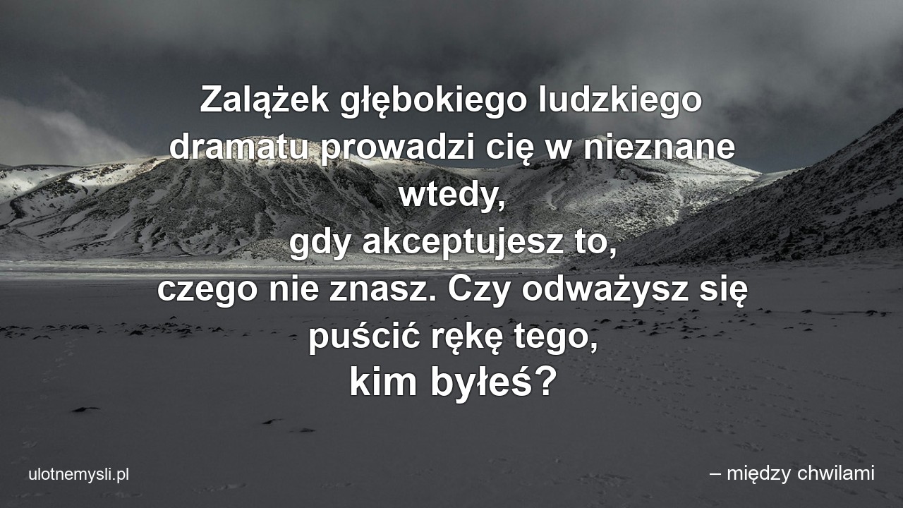 Zalążek głębokiego ludzkiego dramatu prowadzi cię w nieznane wtedy,  gdy akceptujesz to,  czego nie znasz. Czy odważysz się puścić rękę tego,  kim byłeś?