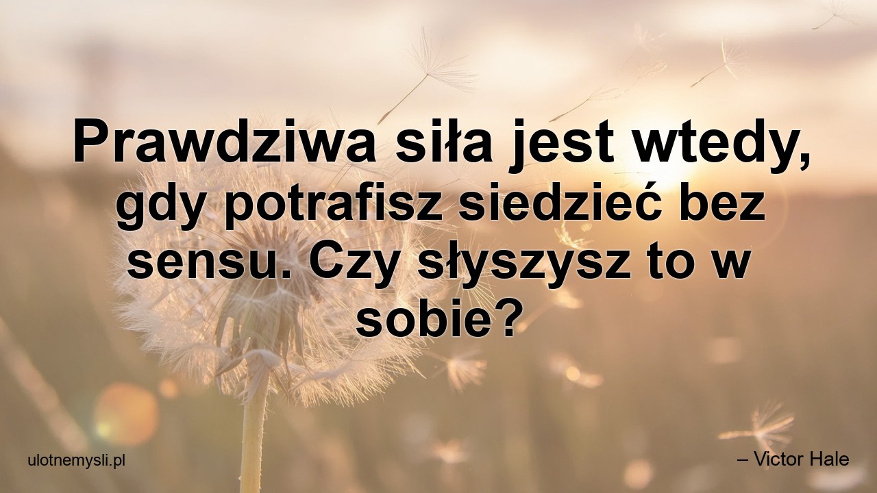 Prawdziwa siła jest wtedy,  gdy potrafisz siedzieć bez sensu. Czy słyszysz to w sobie? - – Victor Hale