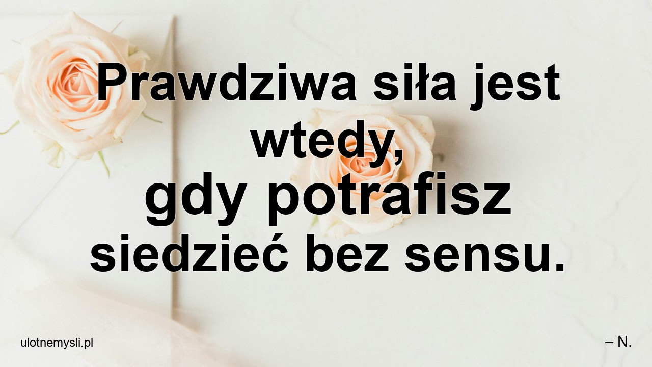 Prawdziwa siła jest wtedy,  gdy potrafisz siedzieć bez sensu. - – N.