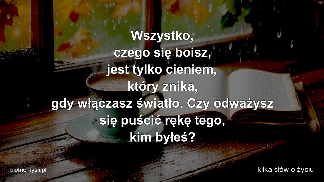 Wszystko,  czego się boisz,  jest tylko cieniem,  który znika,  gdy włączasz światło. Czy odważysz się puścić rękę tego,  kim byłeś?