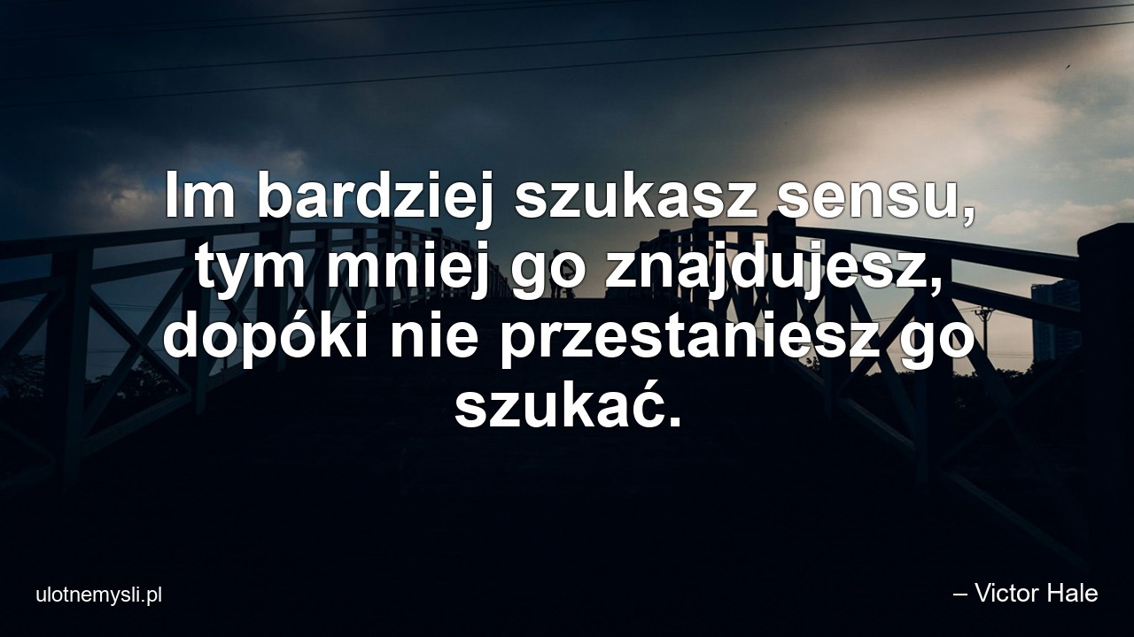 Im bardziej szukasz sensu,  tym mniej go znajdujesz,  dopóki nie przestaniesz go szukać.