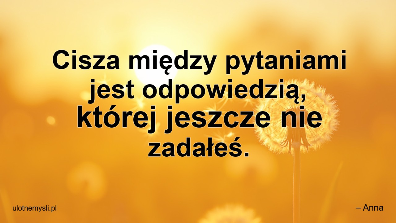 Cisza między pytaniami jest odpowiedzią,  której jeszcze nie zadałeś.
