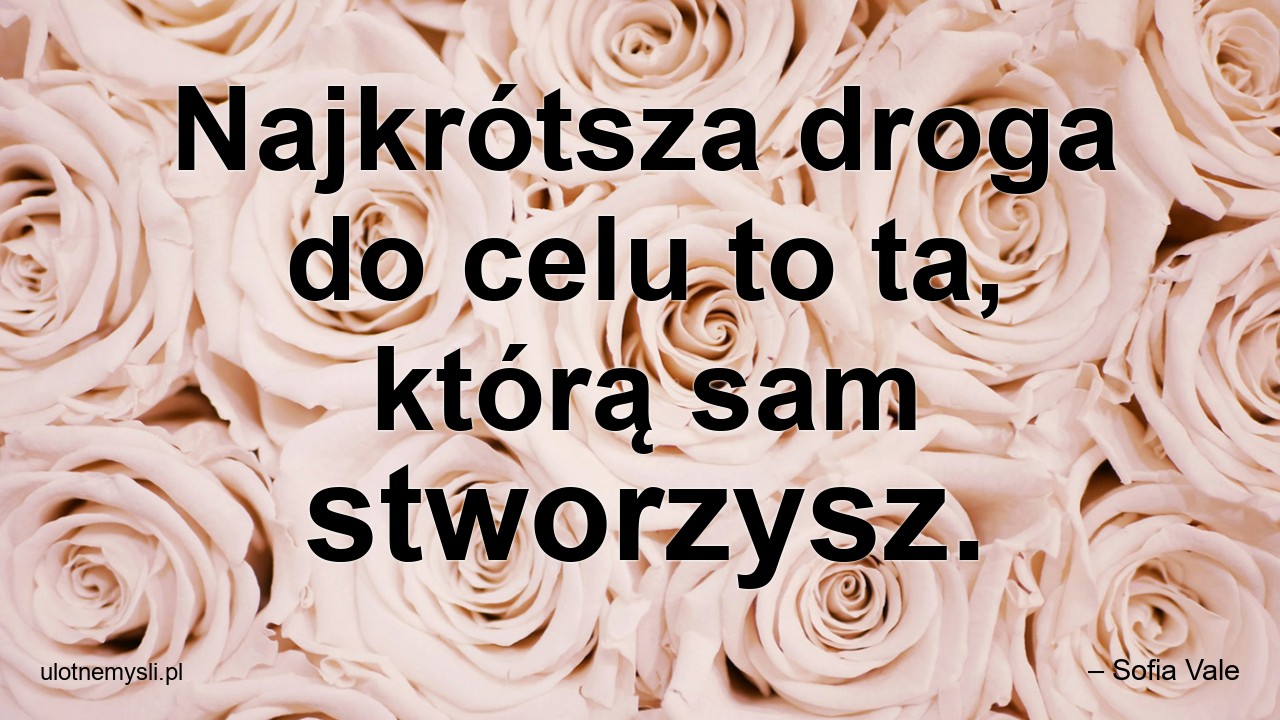 Najkrótsza droga do celu to ta,  którą sam stworzysz.
