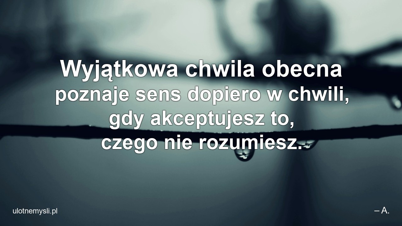 Wyjątkowa chwila obecna poznaje sens dopiero w chwili,  gdy akceptujesz to,  czego nie rozumiesz.