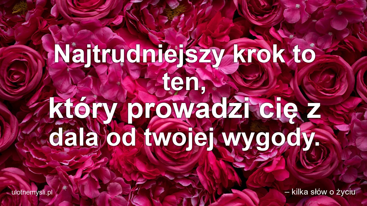 Najtrudniejszy krok to ten,  który prowadzi cię z dala od twojej wygody. - – kilka słów o życiu
