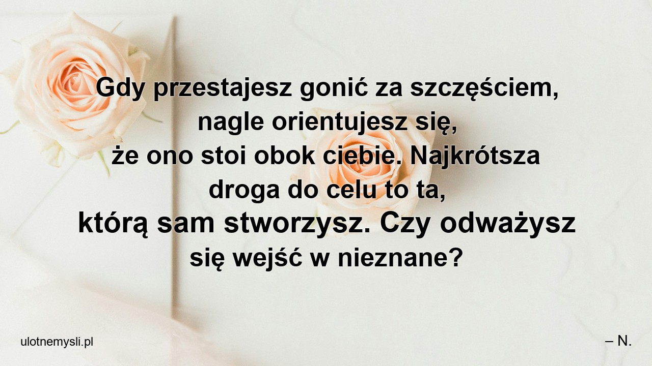 Gdy przestajesz gonić za szczęściem,  nagle orientujesz się,  że ono stoi obok ciebie. Najkrótsza droga do celu to ta,  którą sam stworzysz. Czy odważysz się wejść w nieznane? - – N.