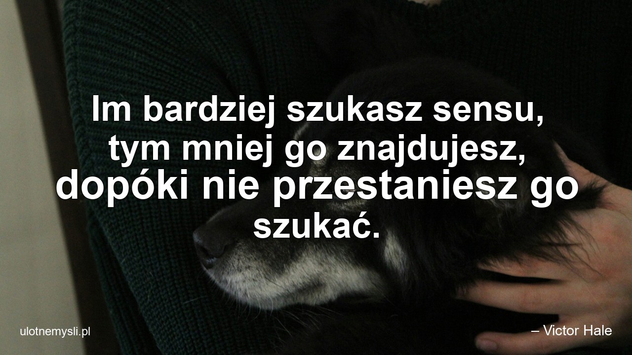 Im bardziej szukasz sensu,  tym mniej go znajdujesz,  dopóki nie przestaniesz go szukać.