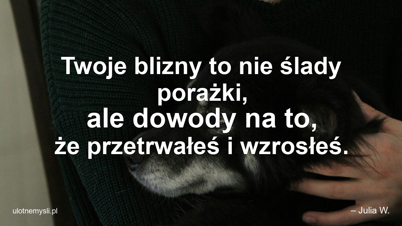 Twoje blizny to nie ślady porażki,  ale dowody na to,  że przetrwałeś i wzrosłeś.