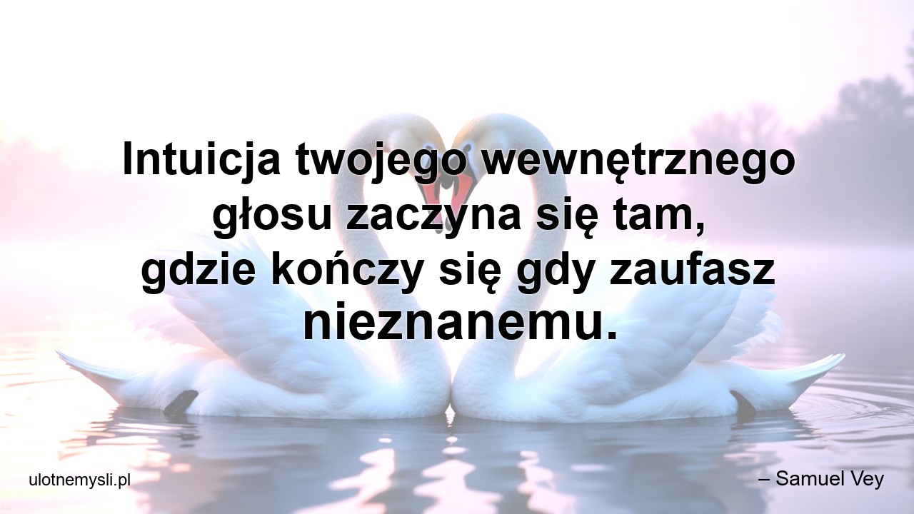 Intuicja twojego wewnętrznego głosu zaczyna się tam,  gdzie kończy się gdy zaufasz nieznanemu. - – Samuel Vey