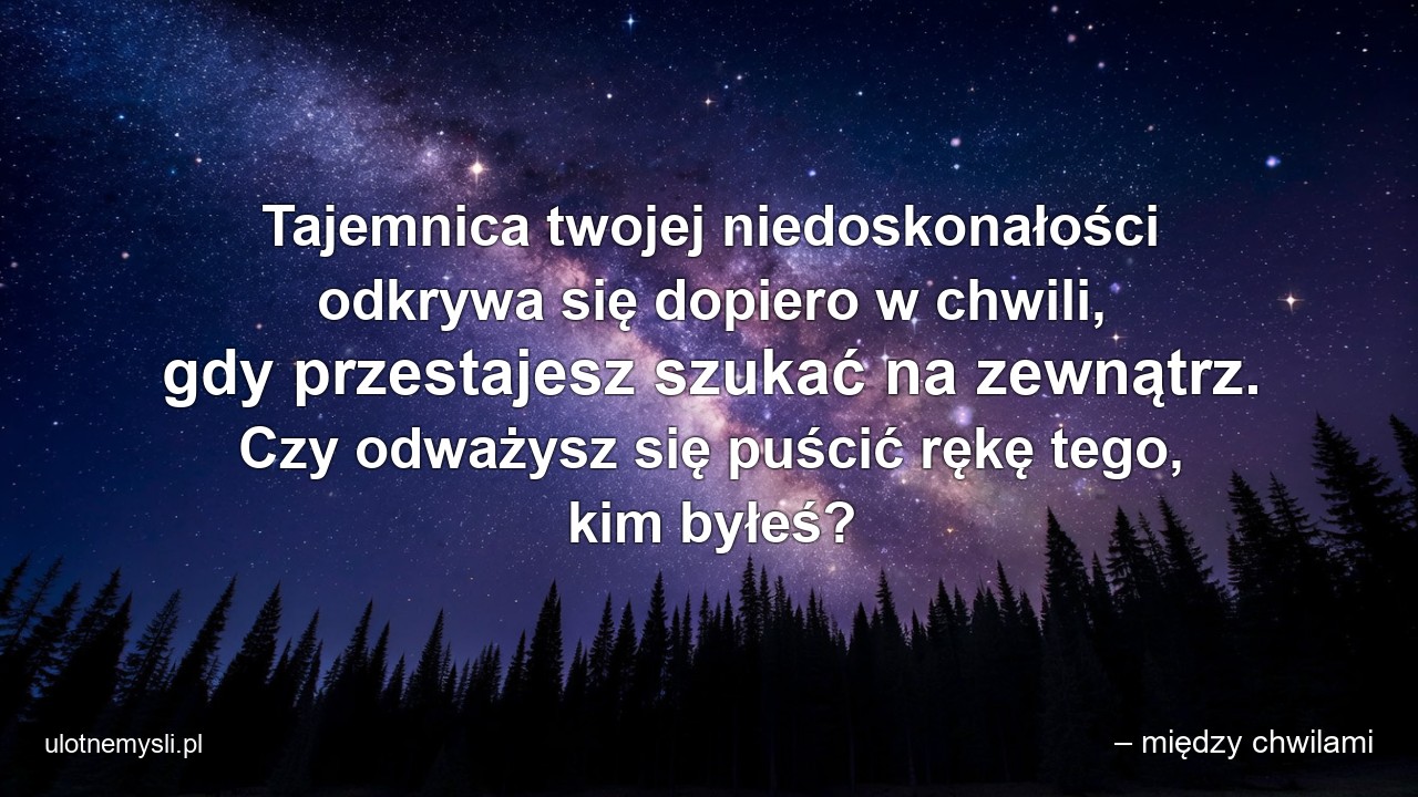 Tajemnica twojej niedoskonałości odkrywa się dopiero w chwili,  gdy przestajesz szukać na zewnątrz. Czy odważysz się puścić rękę tego,  kim byłeś? - – między chwilami
