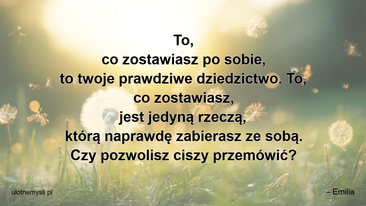 To,  co zostawiasz po sobie,  to twoje prawdziwe dziedzictwo. To,  co zostawiasz,  jest jedyną rzeczą,  którą naprawdę zabierasz ze sobą. Czy pozwolisz ciszy przemówić? - – Emilia