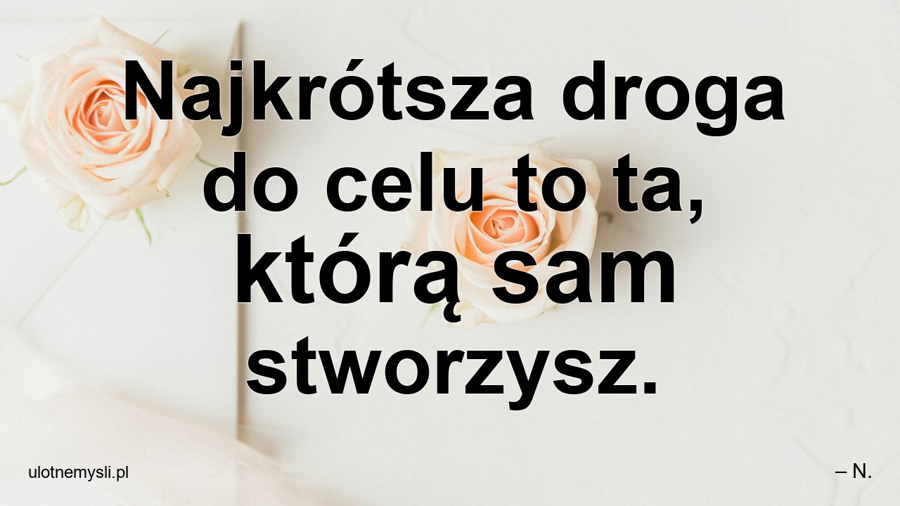 Najkrótsza droga do celu to ta,  którą sam stworzysz. - – N.