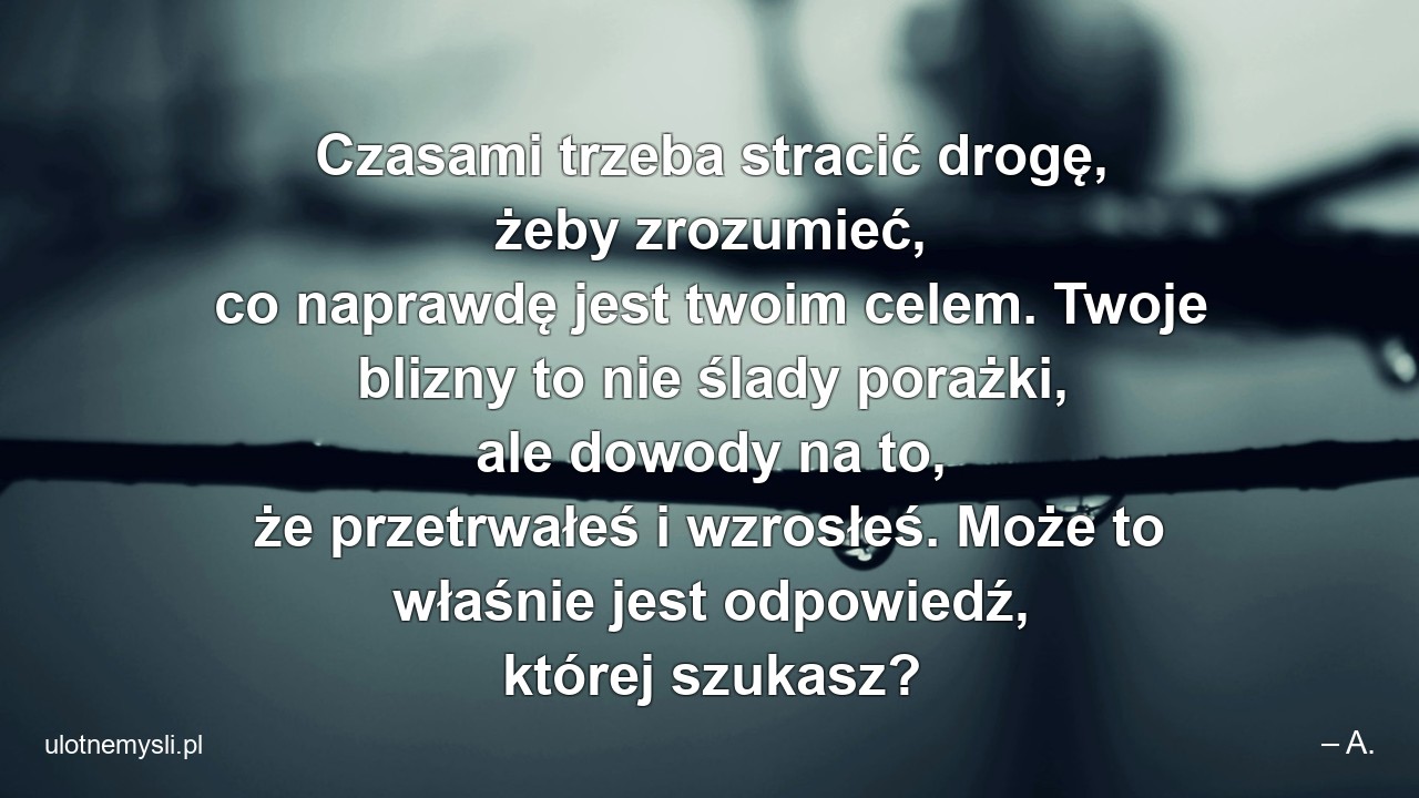Czasami trzeba stracić drogę,  żeby zrozumieć,  co naprawdę jest twoim celem. Twoje blizny to nie ślady porażki,  ale dowody na to,  że przetrwałeś i wzrosłeś. Może to właśnie jest odpowiedź,  której szukasz? - – A.