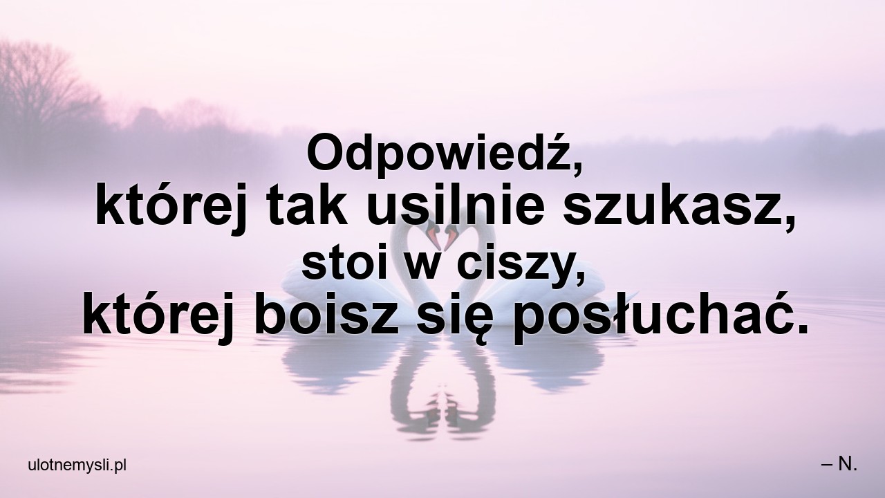 Odpowiedź,  której tak usilnie szukasz,  stoi w ciszy,  której boisz się posłuchać.