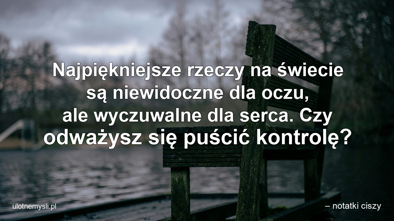 Najpiękniejsze rzeczy na świecie są niewidoczne dla oczu,  ale wyczuwalne dla serca. Czy odważysz się puścić kontrolę? - – notatki ciszy