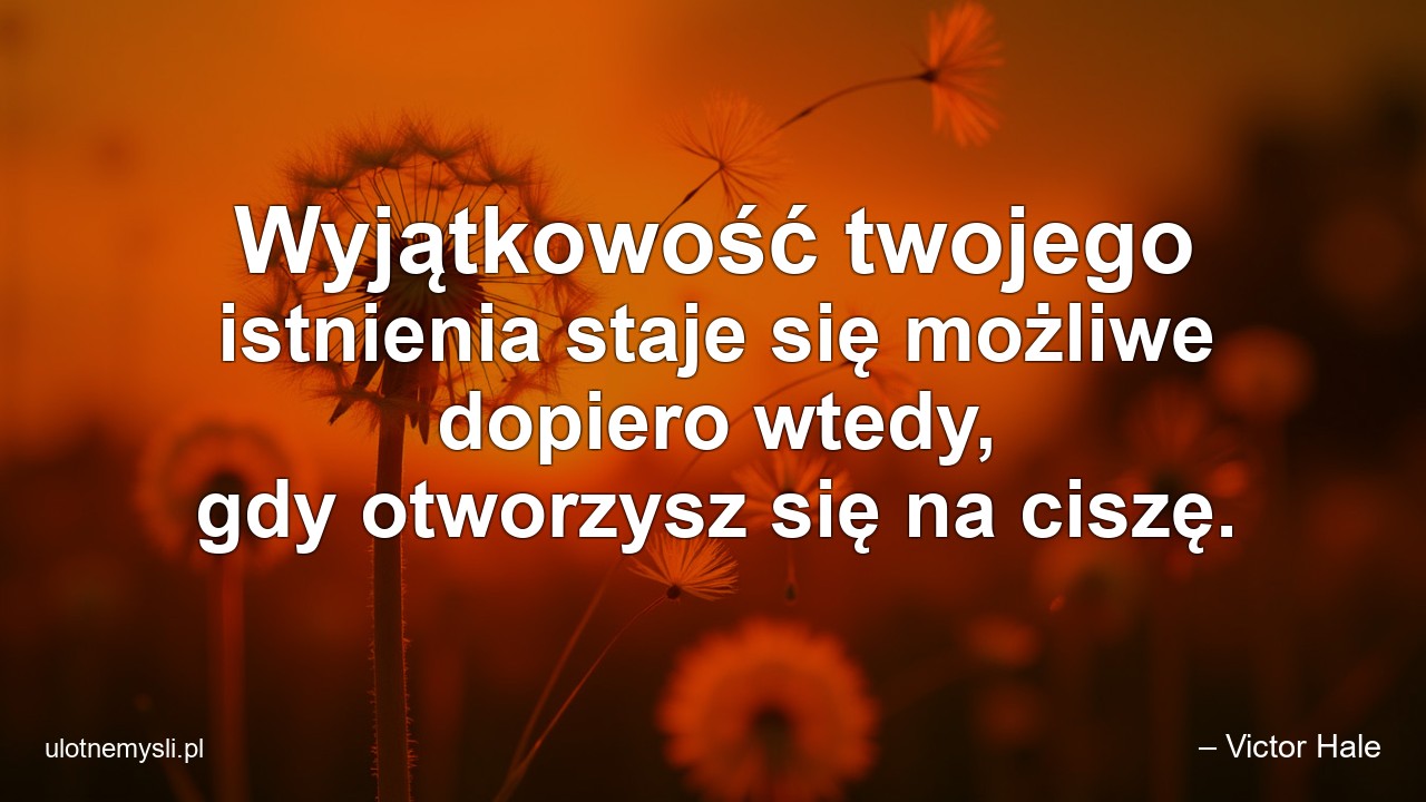 Wyjątkowość twojego istnienia staje się możliwe dopiero wtedy,  gdy otworzysz się na ciszę. - – Victor Hale
