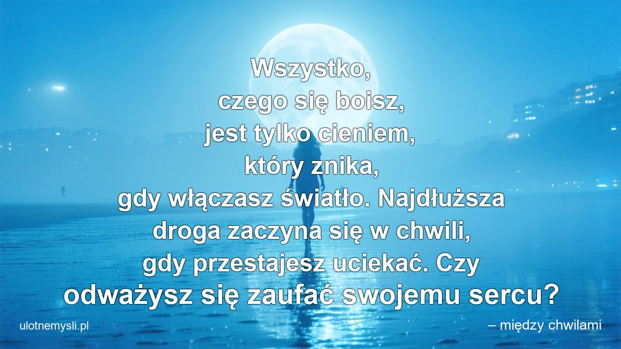 Wszystko,  czego się boisz,  jest tylko cieniem,  który znika,  gdy włączasz światło. Najdłuższa droga zaczyna się w chwili,  gdy przestajesz uciekać. Czy odważysz się zaufać swojemu sercu? - – między chwilami