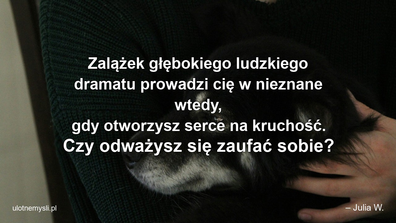 Zalążek głębokiego ludzkiego dramatu prowadzi cię w nieznane wtedy,  gdy otworzysz serce na kruchość. Czy odważysz się zaufać sobie?