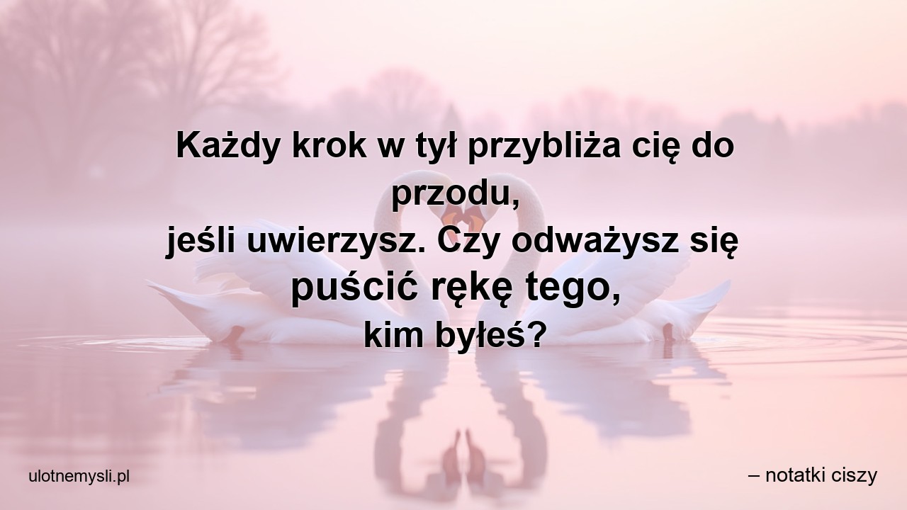 Każdy krok w tył przybliża cię do przodu,  jeśli uwierzysz. Czy odważysz się puścić rękę tego,  kim byłeś? - – notatki ciszy