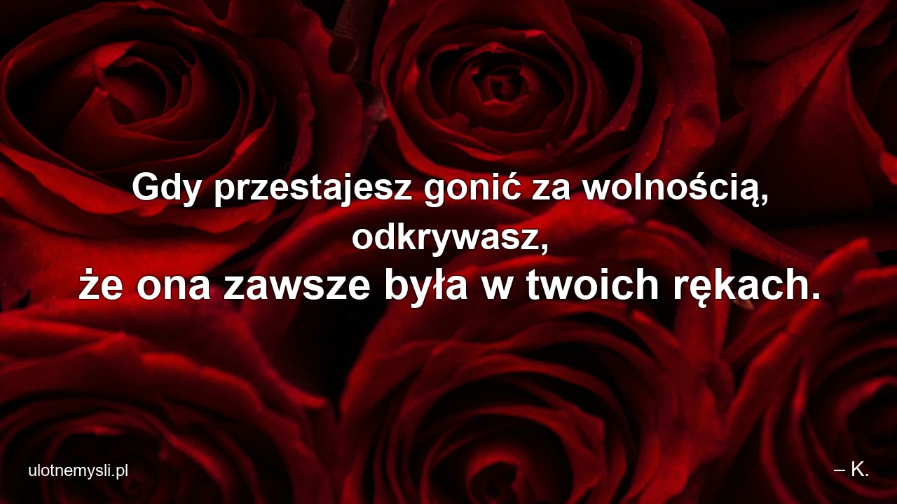 Gdy przestajesz gonić za wolnością,  odkrywasz,  że ona zawsze była w twoich rękach.