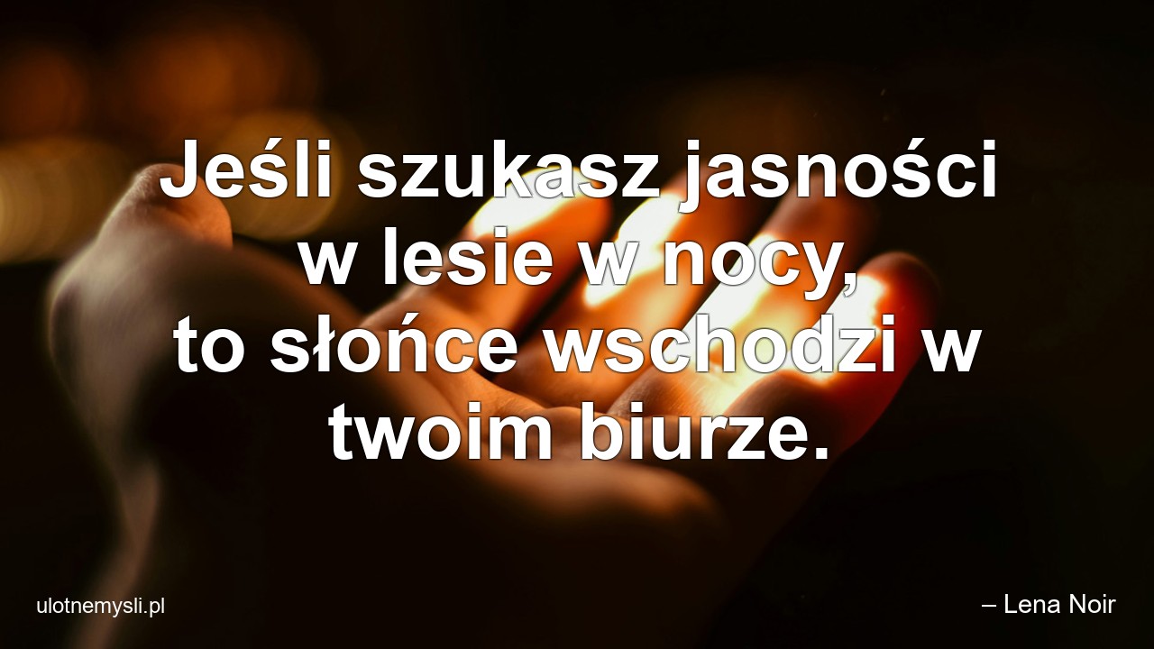 Jeśli szukasz jasności w lesie w nocy,  to słońce wschodzi w twoim biurze. - – Lena Noir