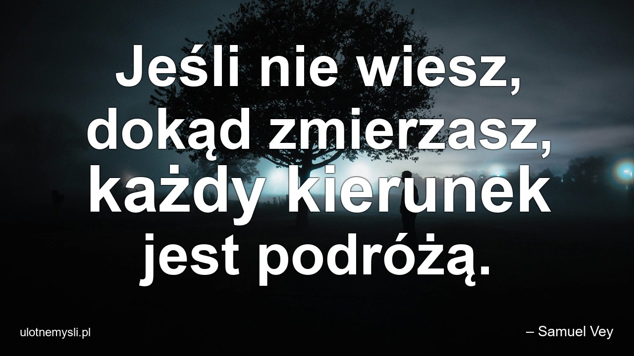 Jeśli nie wiesz,  dokąd zmierzasz,  każdy kierunek jest podróżą.