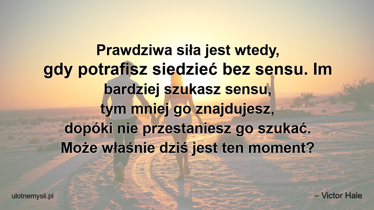 Prawdziwa siła jest wtedy,  gdy potrafisz siedzieć bez sensu. Im bardziej szukasz sensu,  tym mniej go znajdujesz,  dopóki nie przestaniesz go szukać. Może właśnie dziś jest ten moment? - – Victor Hale