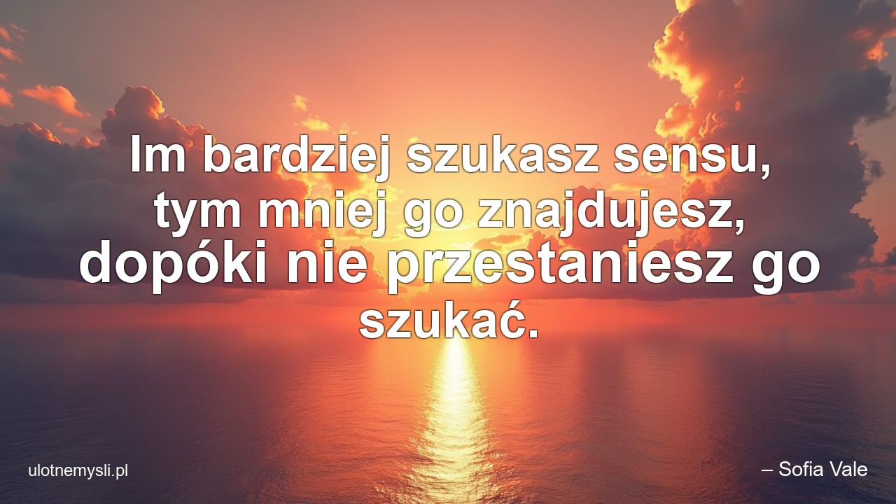 Im bardziej szukasz sensu,  tym mniej go znajdujesz,  dopóki nie przestaniesz go szukać. - – Sofia Vale