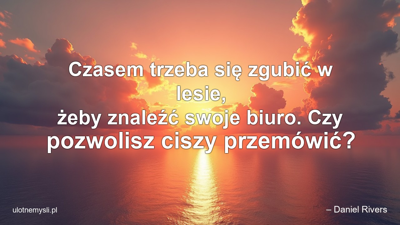 Czasem trzeba się zgubić w lesie,  żeby znaleźć swoje biuro. Czy pozwolisz ciszy przemówić?