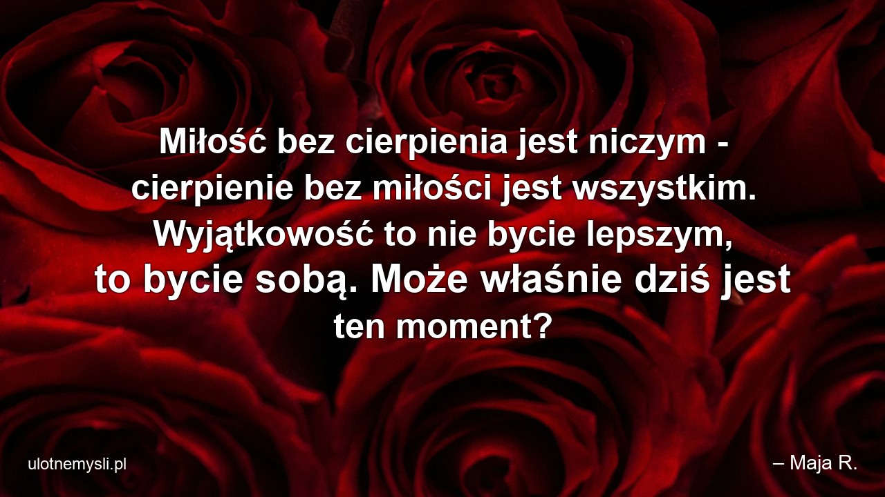 Miłość bez cierpienia jest niczym - cierpienie bez miłości jest wszystkim. Wyjątkowość to nie bycie lepszym,  to bycie sobą. Może właśnie dziś jest ten moment? - – Maja R.