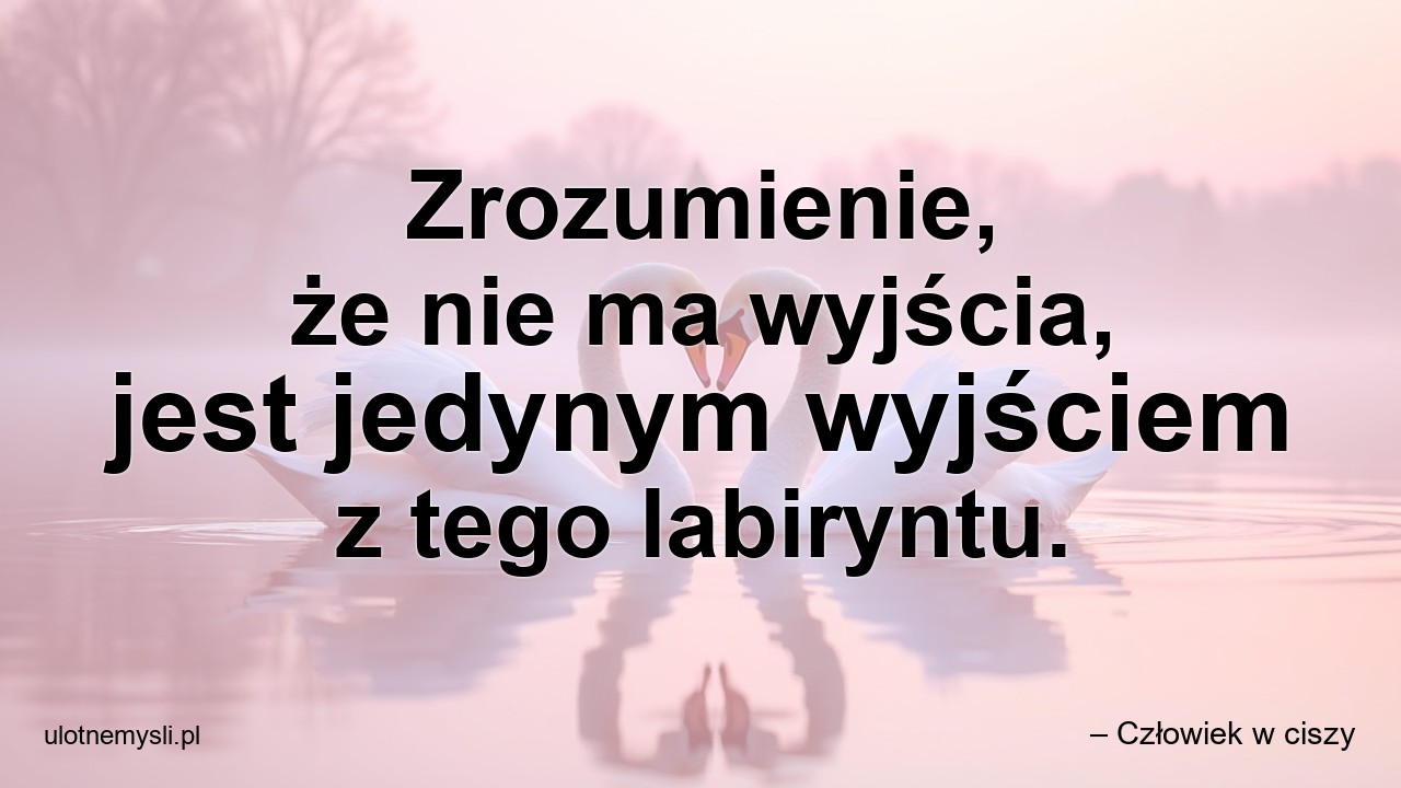 Zrozumienie,  że nie ma wyjścia,  jest jedynym wyjściem z tego labiryntu. - – Człowiek w ciszy