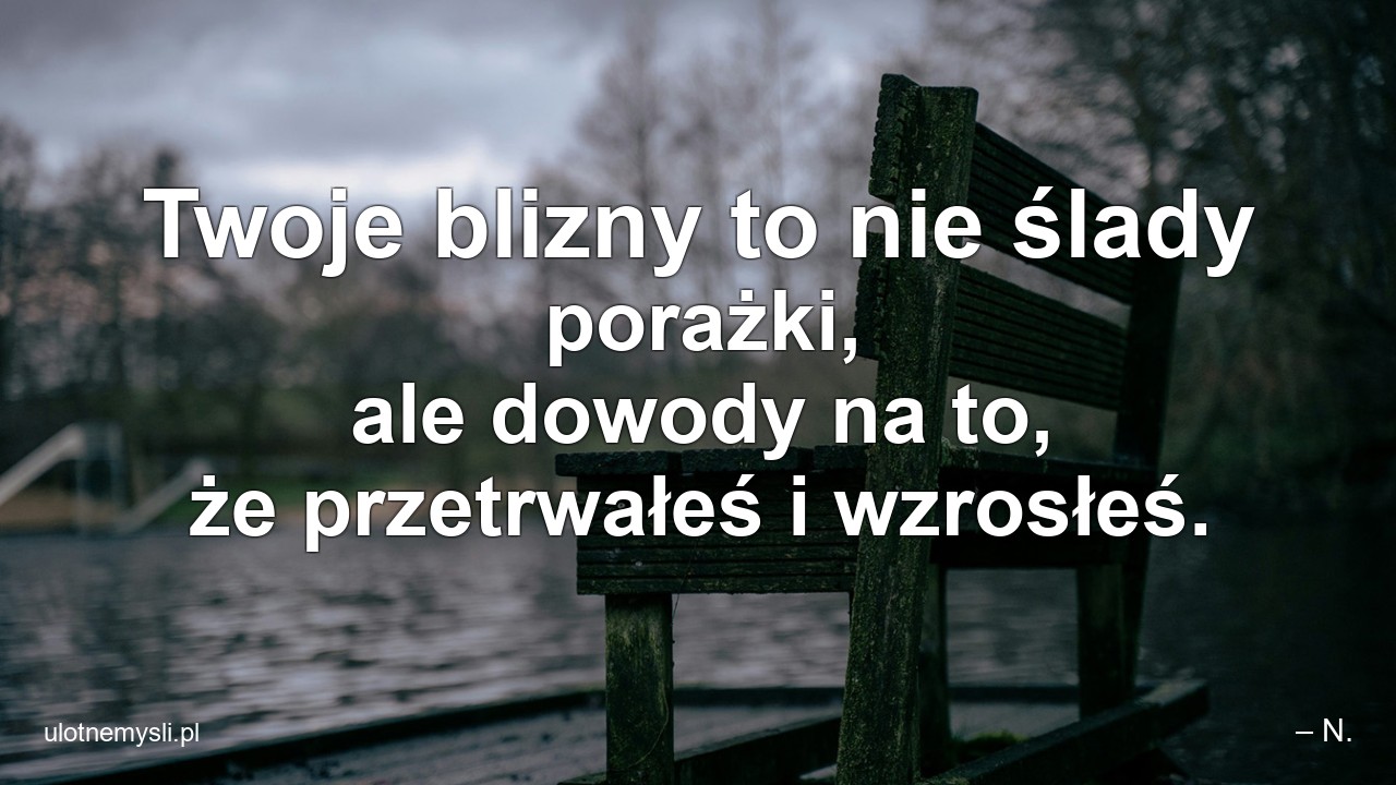 Twoje blizny to nie ślady porażki,  ale dowody na to,  że przetrwałeś i wzrosłeś. - – N.