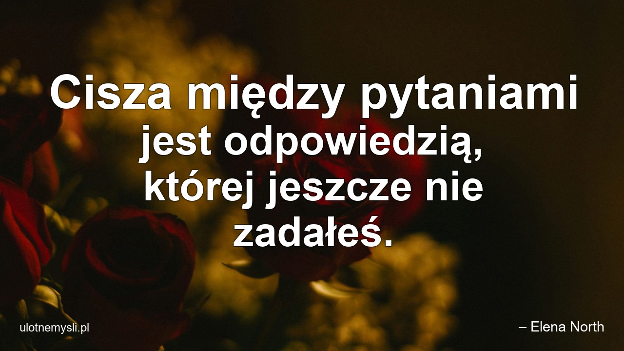 Cisza między pytaniami jest odpowiedzią,  której jeszcze nie zadałeś. - – Elena North