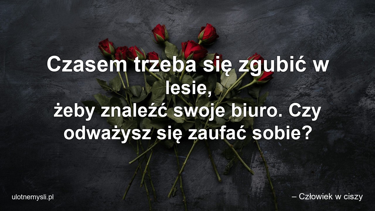 Czasem trzeba się zgubić w lesie,  żeby znaleźć swoje biuro. Czy odważysz się zaufać sobie?