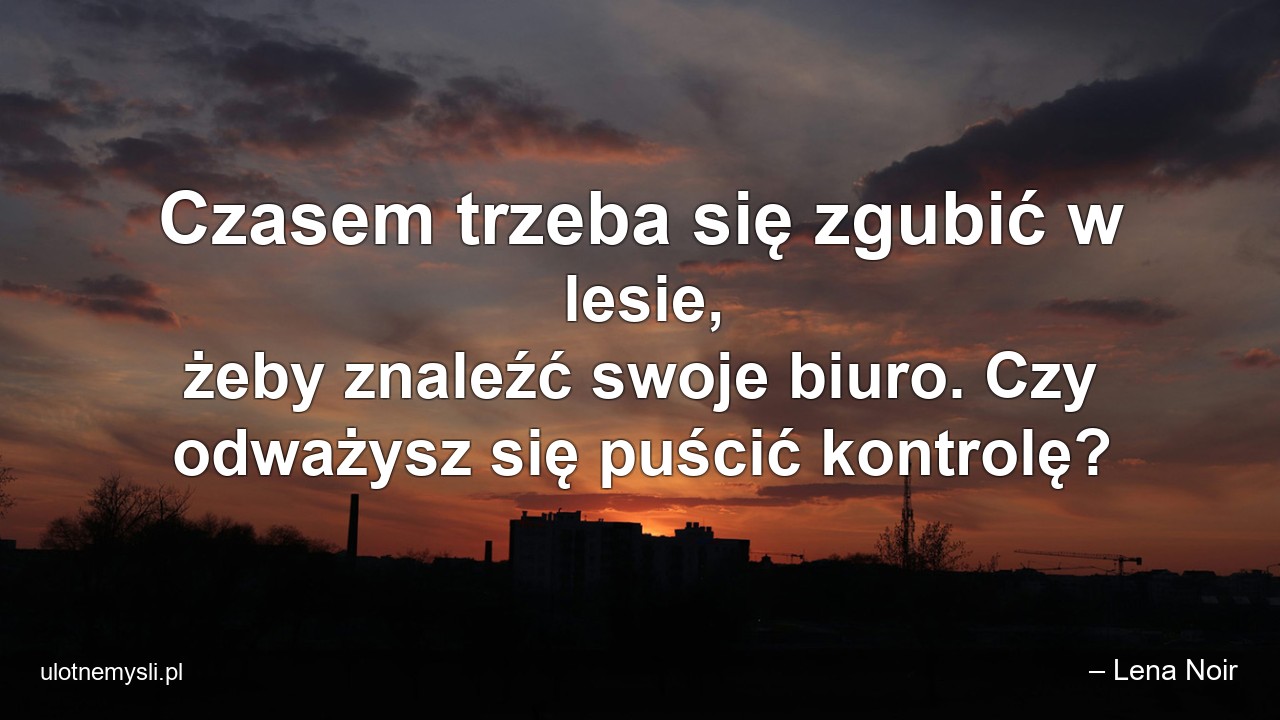 Czasem trzeba się zgubić w lesie,  żeby znaleźć swoje biuro. Czy odważysz się puścić kontrolę?